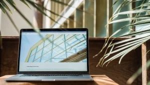 Business Website Development